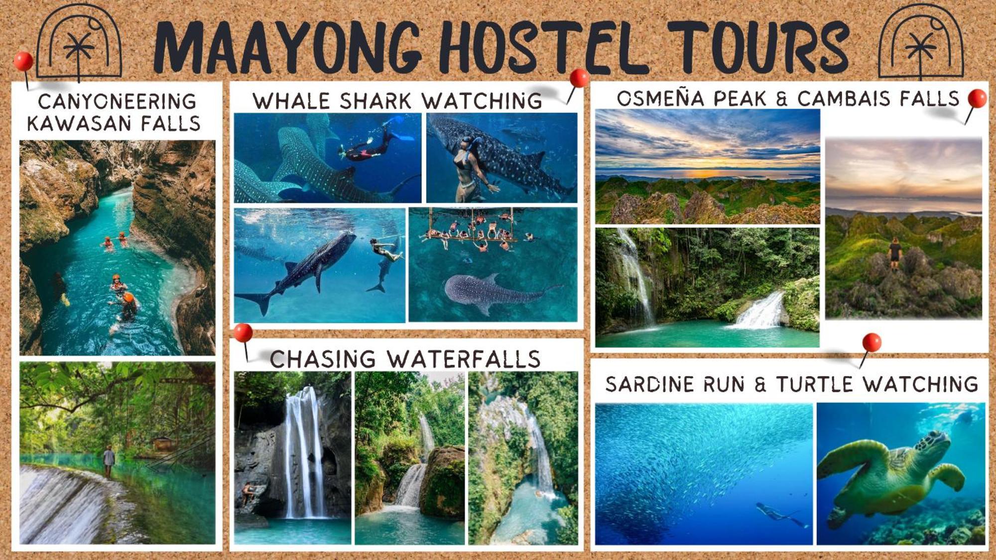 Maayong Hostel (Adults Only) Moalboal Exterior foto